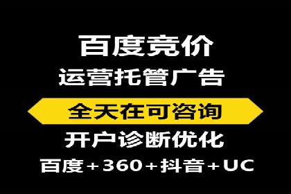 SEM托管服务，成功案例深度分析